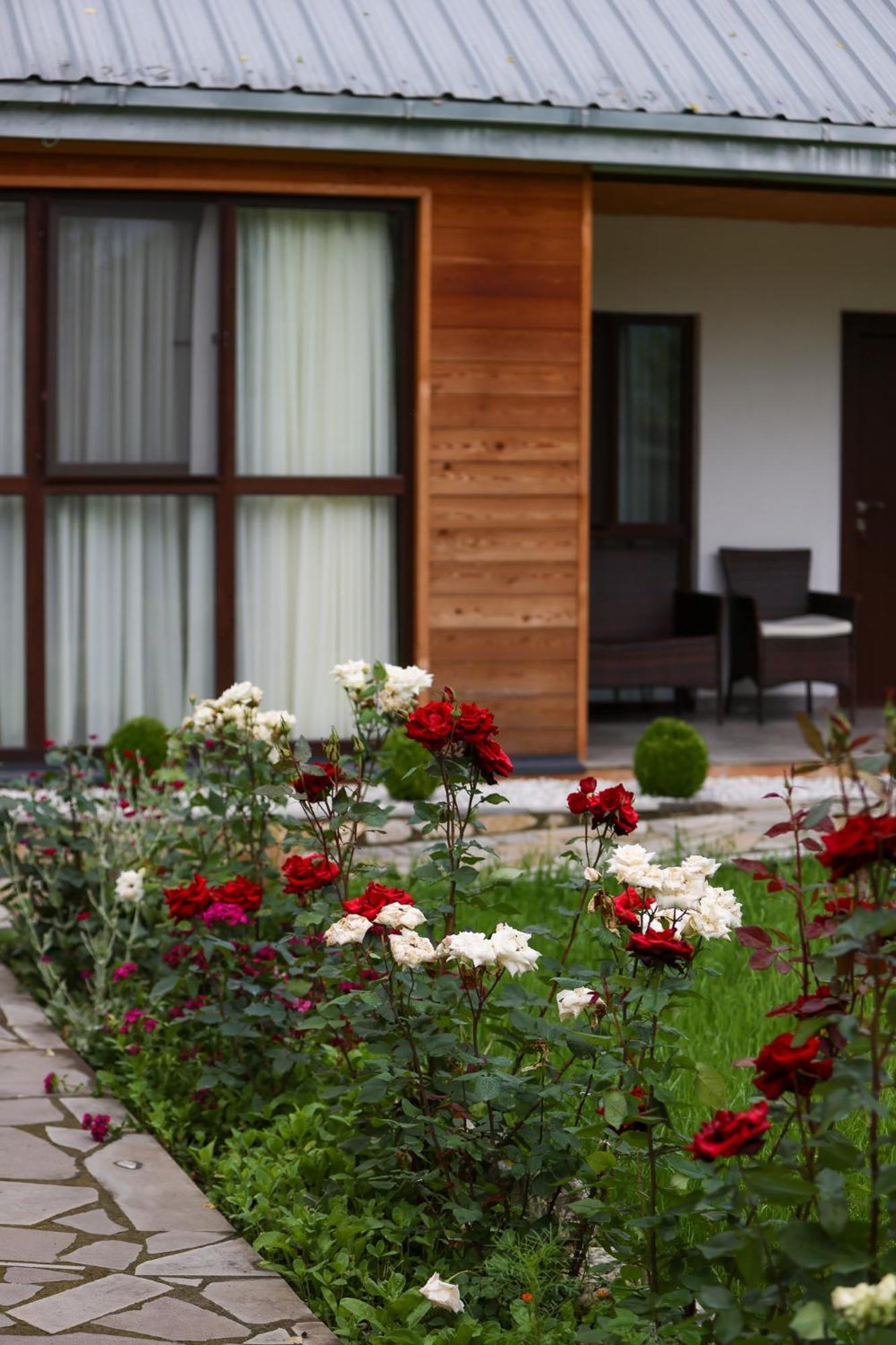 Alvani Inn K'vemo Alvani 외부 사진