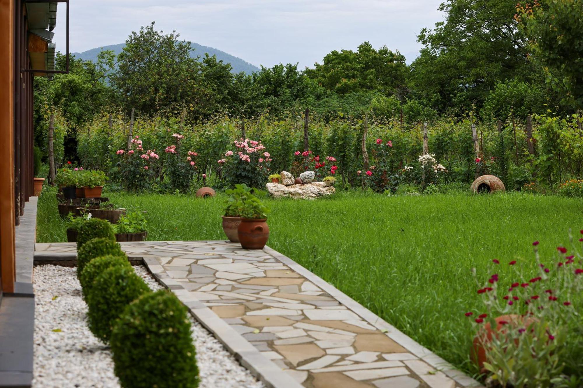 Alvani Inn K'vemo Alvani 외부 사진