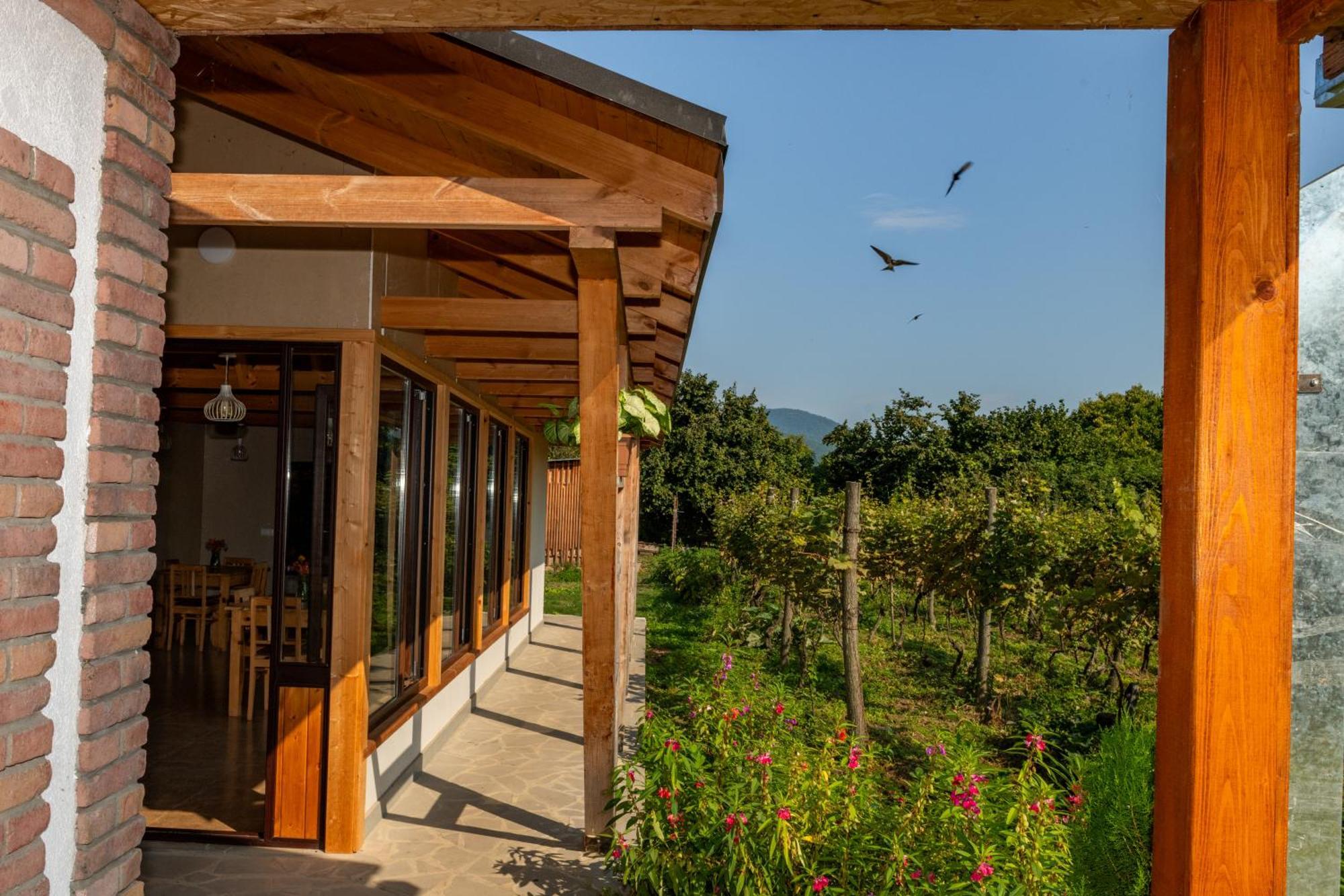 Alvani Inn K'vemo Alvani 외부 사진